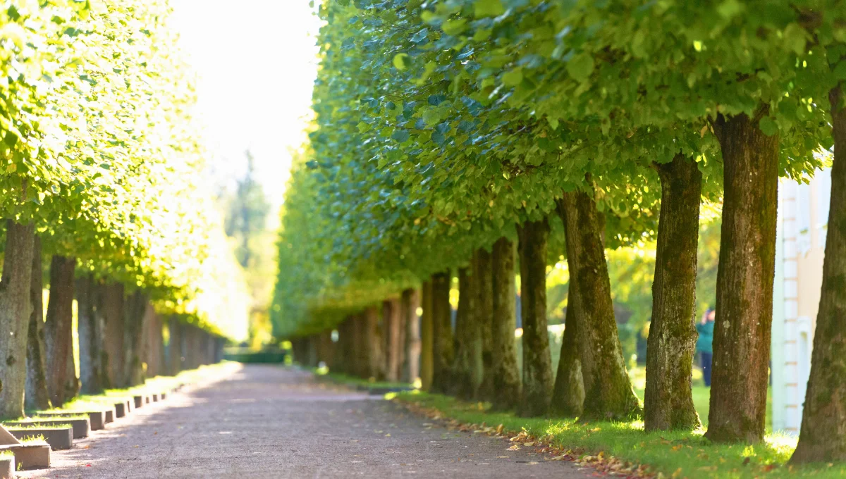 Parks and Leisure Areas